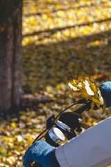 Female hand with beautiful maple leaves holding bicycle handlebars