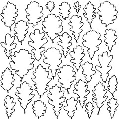 Oak leaves outline set fo coloring book page vector