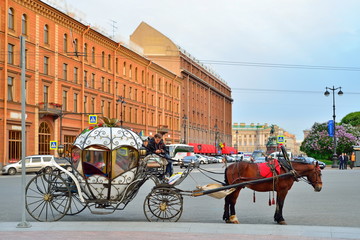 A carriage pulled by a horse on the background of the hotel building in Saint-Petersburg