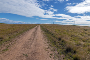 Fototapeta na wymiar Empty Rural Dirt Road Leading Through Dry Winter Grassland