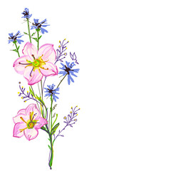 Obraz na płótnie Canvas Beautiful wildflowers, bouquet, isolated on a white