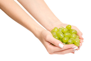 Female hands with grape bunches