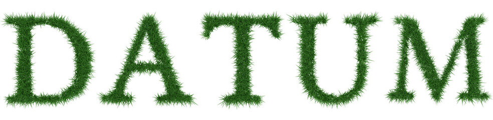 Datum - 3D rendering fresh Grass letters isolated on whhite background.