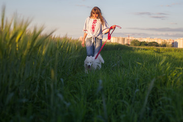 Young woman with white dog having good time in green summer fields during sunset 