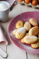 Homemade cookies. French cookies Madeleine. Holidays food.
