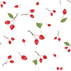 Seamless pattern of wild apples and leaves on a white background