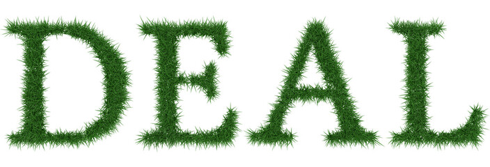 Deal - 3D rendering fresh Grass letters isolated on whhite background.