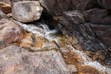 Stream in the tropical jungles