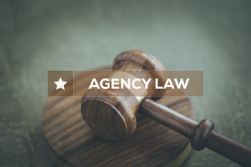 AGENCY LAW CONCEPT