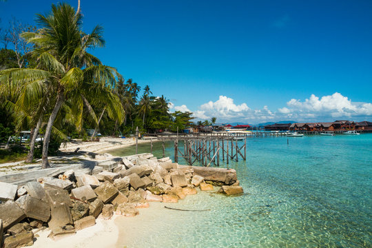 White sand on the beach and palm trees, paradise island, mabul island in borneo