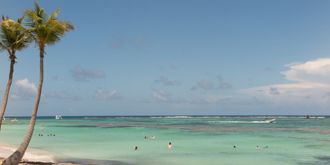Exotic sandy beach with palm and coconut against blue sky and azure water