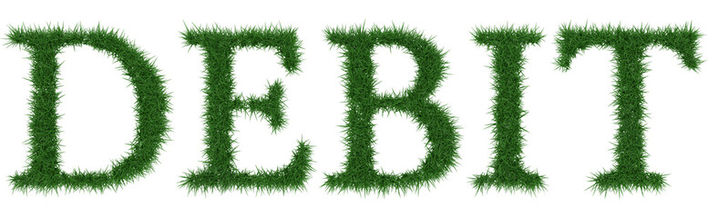 Debit - 3D rendering fresh Grass letters isolated on whhite background.