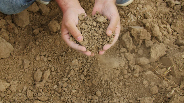 Farmer's hands holding dried soil