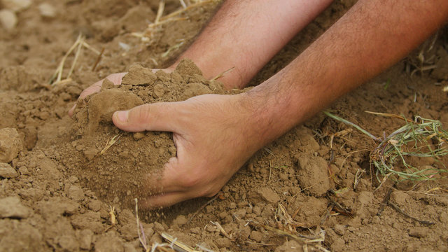 Farmer's hands holding dried soil