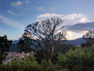 Huge tree and mountain background at sunset, Lakeside, Pokhara, Nepal