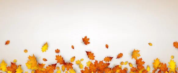 Poster Autumn banner with orange leaves. © Vjom