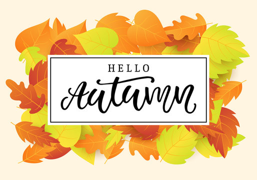 Hello autumn banner template