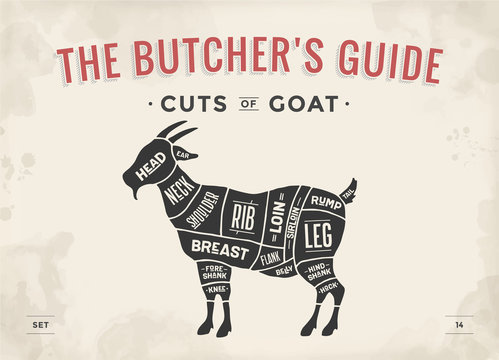 Cut of meat set. Poster Butcher diagram, scheme - Goat. Vintage typographic hand-drawn goat silhouette for butcher shop, restaurant menu, graphic design. Meat, poultry theme. Vector Illustration