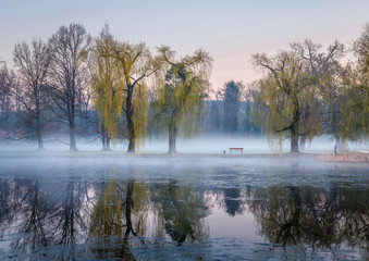 Foggy Stromovka Sunrise, Prague