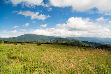 Obraz premium 高原