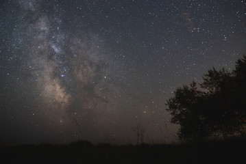 The center of our home galaxy, the Milky Way rising over the field, the night stars landscape, the tree under stars 