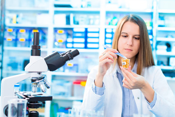 Selective and genetic work with seeds and grains in a scientific laboratory. Food quality control