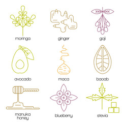 Superfood color line icons set.