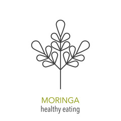 Moringa. Vector line icon. 