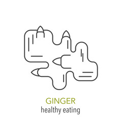 Ginger. Vector line icon. 