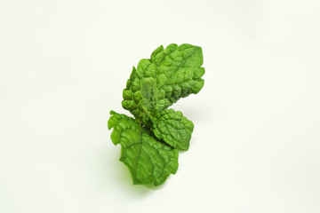 piece of mint isolated