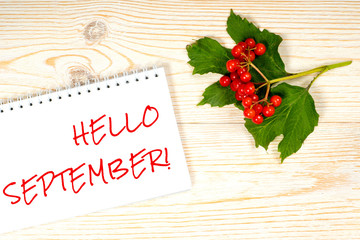 Naklejka na ściany i meble hello september message over post card with viburnum berries