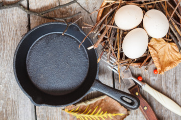 Chicken eggs in the nest and cooking egg