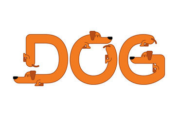 Dog lettering. Dachshund typography. Letters from home animal. Alphabet pet