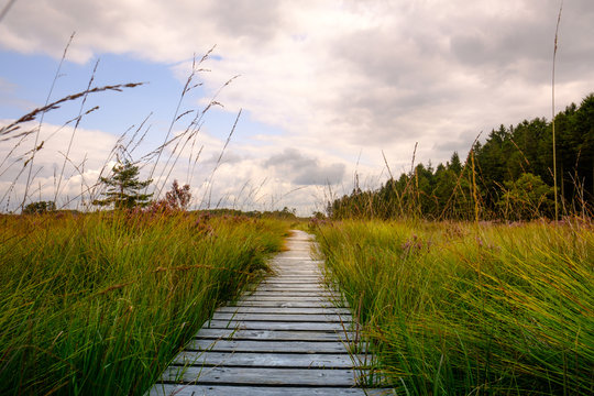 Un chemin vers la lumi&egrave;re