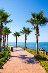 Gordijnen summer vacation concept - beautiful palms on the beach © Di Studio