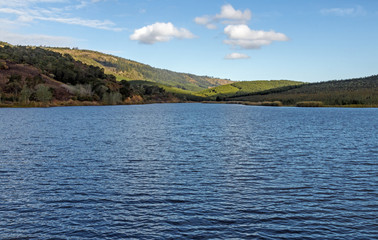 Lake and  Blue Cloudy Sky Landscape in South Africa