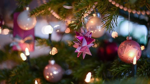 Weihnachtsbaum close up pinker Fröbelstern