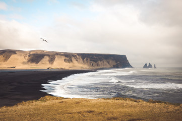 islande, vik