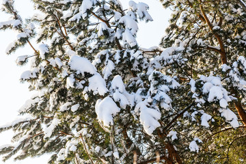 Night scene over harbor