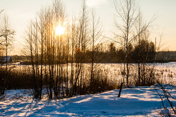 Winter landscape