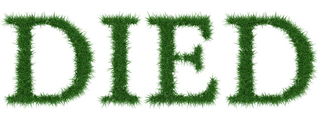 Died - 3D rendering fresh Grass letters isolated on whhite background.