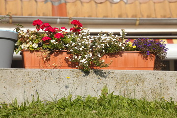 Blumenkasten mit Sommerblumen auf einer Mauer