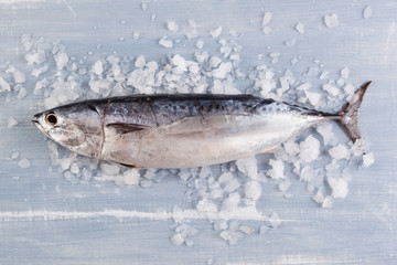 Fresh tuna fish on ice