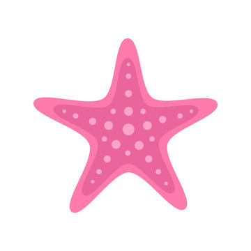 Pink starfish marine animal. Vector illustration drawing. Isolated on white background.