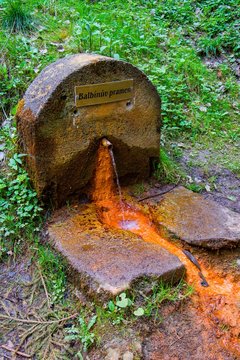 Mineral water spring (Balbin&acute;s Spring - Balbinuv pramen) in the spa forest near the spa town Marianske Lazne (Marienbad) - great famous Bohemian spa town in the west part of the Czech Republic