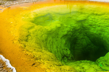 Morning glory pool