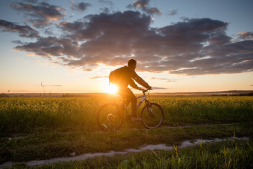 A man on a bicycle in a field on the road against a sunset background