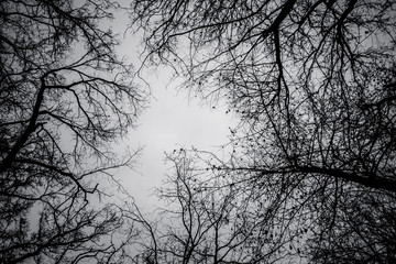 Mountain city, Italy, water clouds, architecture 