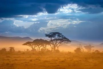 Deurstickers Kilimanjaro Afrikaanse savanne. De voet van de Kilimanjaro.