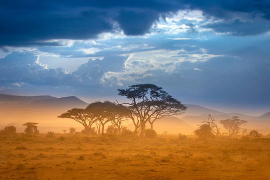 african grasslands background